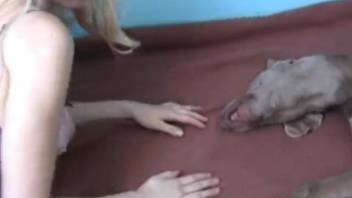 Golden-masked blonde gets screwed and filled with cum by a canine