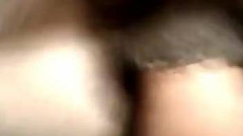 Closeup amateur animal porn in brutal scenes along horn women