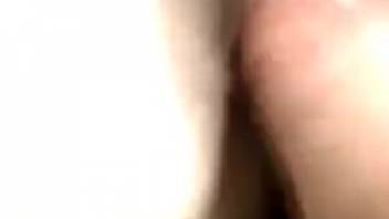 Intimate homemade beastiality erotica featuring savage acts with aroused females