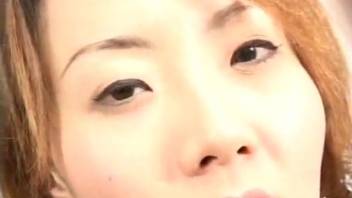 Japanese bestiality videos featuring MILFs obsessed with canine cock