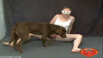 Golden-haired vixen donning an adorable disguise adores sapphic zoophilia