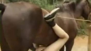 Horse porn zoophilia in outdoor XXX scenes
