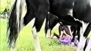 Spouse ingests canine semen following an intense bestiality session