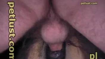 Horny man filmed during hard sex with his horse
