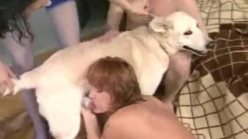 Women dividing the canine in wild animal park moments as they both groan