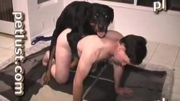 Chubby dude getting his asshole fucked by a dog