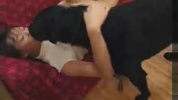 Intense and affectionate animal sex showcased in Japanese adult videos