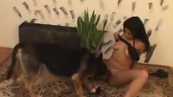Brunette with a bald pussy is about to fuck a dog