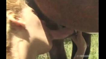 Bare beginner handles a huge stallion dick in exterior shots