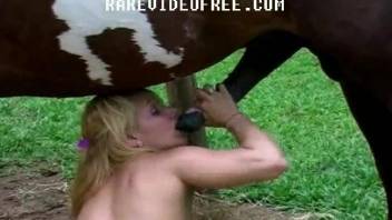 Blonde slut gives her horse a head and gets fucked