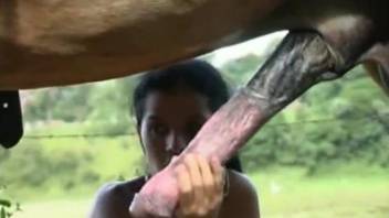 Sexy amateur babe tries the long horse cock in excellent scenes