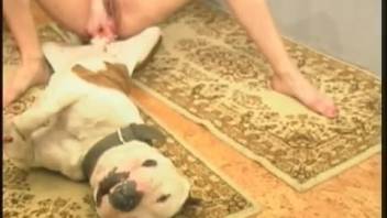 Filthy savage canine banging homemade collection featuring a steamy mature vixen