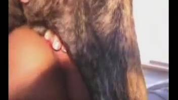 Intensely raunchy dog bestiality video featuring a busty woman