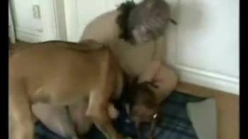 Horny curvy woman being screwed by a super aroused beast