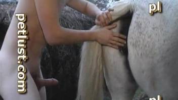 Sweet animal porn with a white horse and a filthy farmer