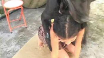 Curvy Latin lady gets a fast session with the canine's dick
