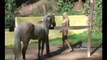Excited girl with long hair welcomes horse's huge penis inside cunt