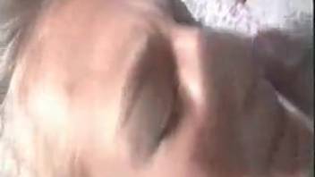 Amateur cuties indulging in bestiality videos on webcam with a well-hung guy