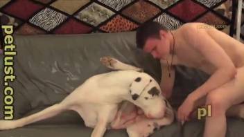 Horny man wants to deep fuck his trustful hound in the ass