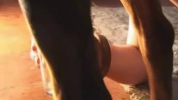 Spouse consumes canine semen following intense oral stimulation of its penis