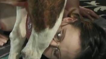 Nerdy amateur zoophile knows how to suck dog dick in a proper way