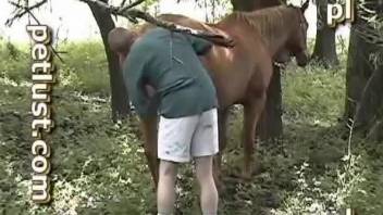 Outdoor nature zoo porn for a man and his horny horse