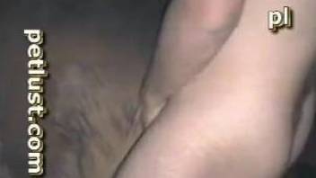 Late night animal sex for a guy with great need for zoophilia
