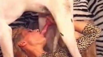 Mature gets laid with a dog while her hubby is watching