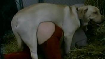Adorable blonde in red pants gets wrecked by a dog