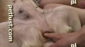 Homemade amateur footage of rough bestiality involving men and their dogs