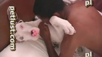 African American guy anally penetrates his dog and ejaculates on its coat