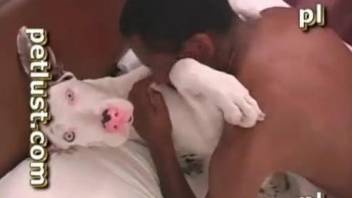 Trained white doggy gets anally fucked by massive black dick