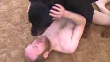 Amateur gay man in rough scenes of zoophilia anal