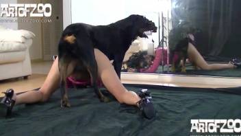 Awesome dog fuck in doggy style with a big black beast