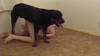 Hairless guy receives anal pounding from his dog following enjoyable oral sex