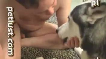 Gay man jerks off dog cock and then sucks it hard