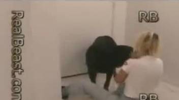 Blonde in tight jeans and white t-shirt jerks a dog's cock
