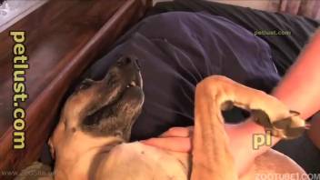 Dirty homemade bestiality porn featuring a skilled juvenile canine