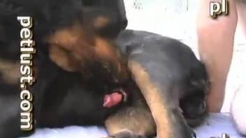 Horny man adores throating the dog's cock and fucking