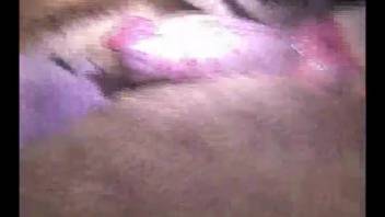 Naked guy enjoys the sensation of a dog's penis entering his anus