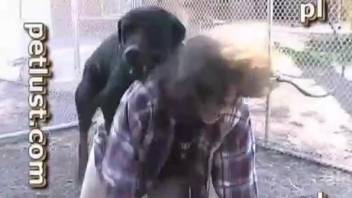 Black dog humps male master in the ass