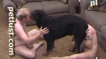 Wife shares large dog cock with her horny husband