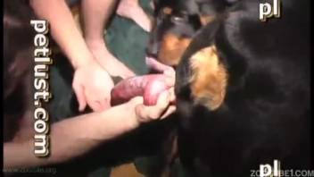 Bare dude craves that thick canine dick in his rear end