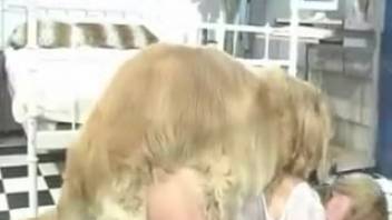 Blonde babe with a firm ass being screwed by a dog