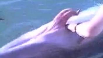 Guy digitally penetrates a dolphin and enjoys the sensation