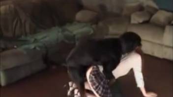 Canine penetrates female in her vagina and mouth during live webcam session