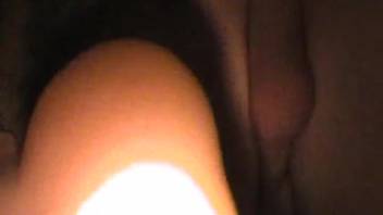 Aroused canine penetrates owner's rear until it climaxes inside him