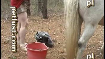 Intense butt fucking with a stallion during crazy outdoor bestiality porn
