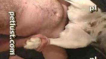 Guy finger fucks dog before fucking it merciless