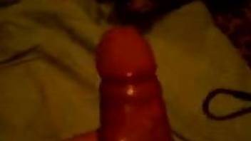 Man sticks his erect cock deep in the dog's vagina